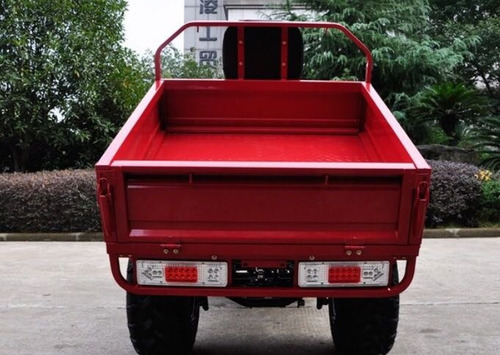 Cuatrimoto Soporta 800 Kg 300cc Homologada