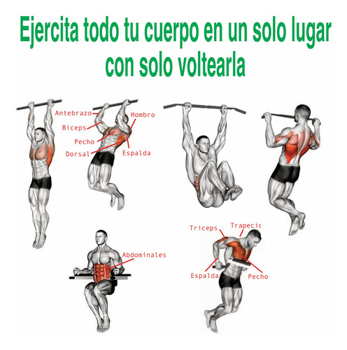 Maxi Fit Pn-r Barra Multifuncional Para Dominadas Abs