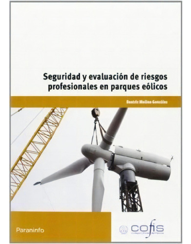 Seguridad Y Evaluacion De Riesgos Profesionales En Parques Eolicos, De Beatriz Molino Gonzalez. Editorial Paraninfo, Tapa Blanda, Edición 2014 En Español