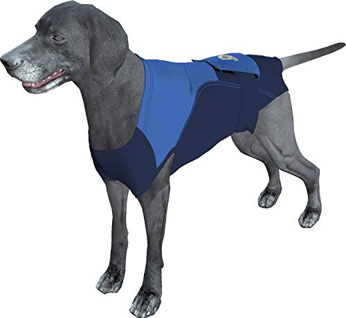 Colgante Y Collar Alternativo Cono Para Perros Xlxyt