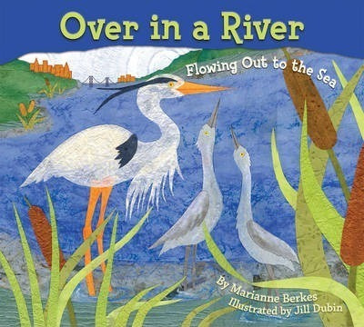 Once In A River - Marianne Berkes (hardback)