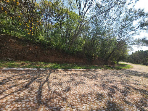 Venta De Lote San Diego 8 Sobre Boulevard Muy Cerca De Las Amenidades Y Del Hotel Del Fracc Rancho San Diego Ixtapan De La Sal Edomex. Se Incluye Proyecto