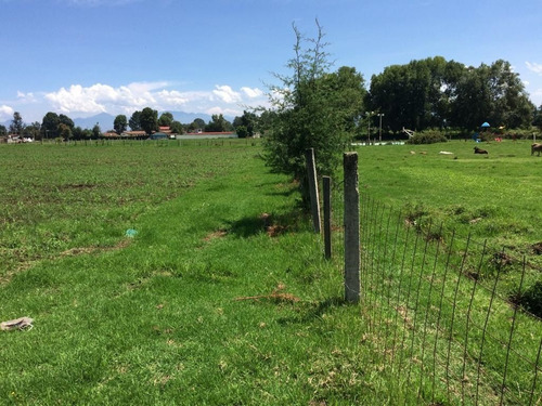 Imagen 4 de 12 de Terreno En Venta