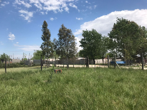 Terreno En Venta San Vicente Domselaar Con Mejoras