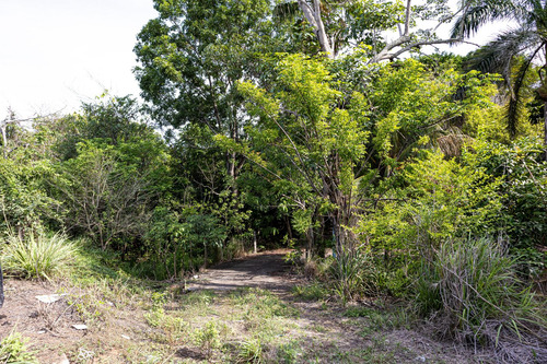 Terreno En Venta Sobre La Carretera Federal