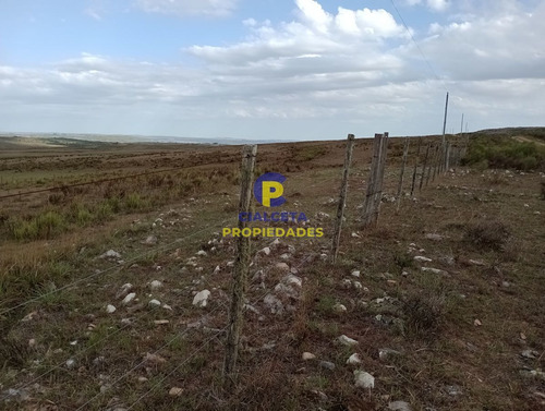 223 Hectáreas En Treinta Y Tres, Se Financia