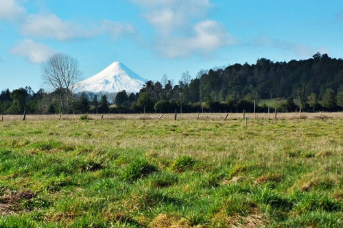 Estupenda Parcela En Cumbres De Frutillar