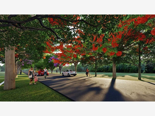 Imagen 6 de 9 de Terreno En Venta Nova Vita Country Club