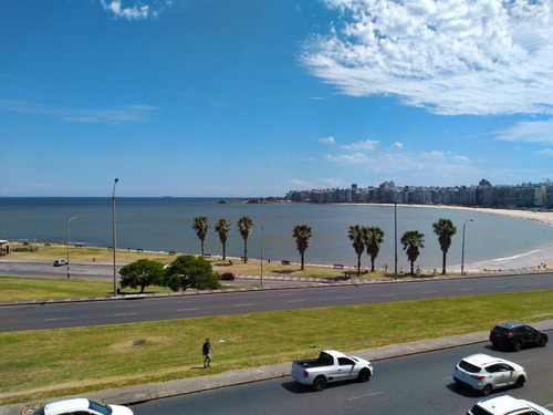 Imagen 2 de 29 de Apartamento -rambla Frente Al Kibon