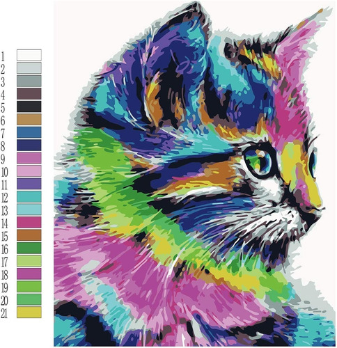 Pinta Por Numeros, Kit Para Pintar Cuadros Pintura Gato