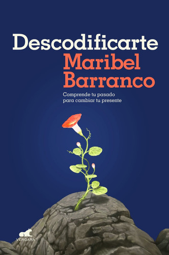 Descodificarte, De Barranco, Maribel. Editorial Javier Vergara Editor S.a., Tapa Blanda En Español