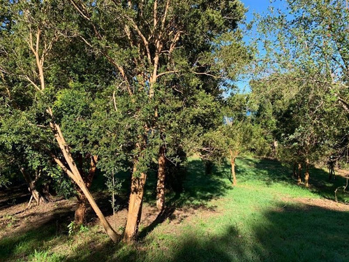 Imagen 4 de 14 de Sitio En Venta En Cascada