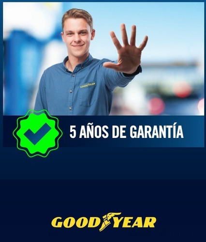 Neumático Goodyear Performance 195/65R15 91 H