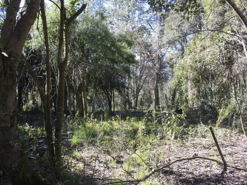 Imagen 8 de 17 de Venta Lote De 1005 M2 En Las Balsas, Villa La Angostura - L73e