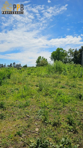 Vendo Dos Parcelas De 5.000m² Con Excelente Ubicación En P