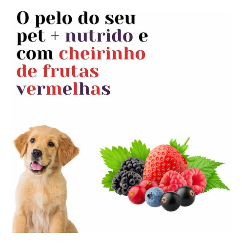Kit 3 Banho Seco Pet Clean Com Aromas 240ml + Lenço Chalesco
