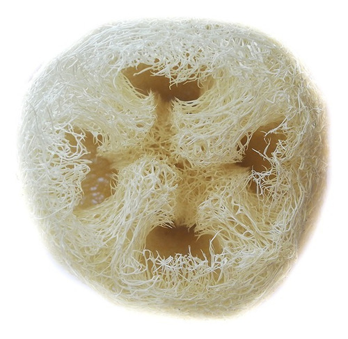 Imagen 2 de 2 de Pack 3 Trozos Esponja Luffa O Lufa Natural (8 A 12cm.)