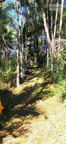 Imagem 25 de 30 de Linda Chácara Com Acesso À Represa - Parque Das Garças - $600mil - Ch0031