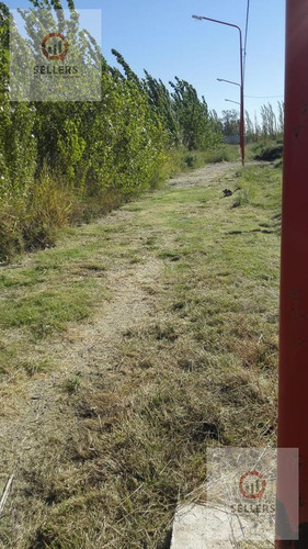 Imagen 2 de 4 de Venta - Lote 300 M2 - Don Federico - Allen