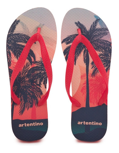 Imagen 3 de 9 de Ojotas Hombre Verano Surf Diseño Artentino Regalo Original