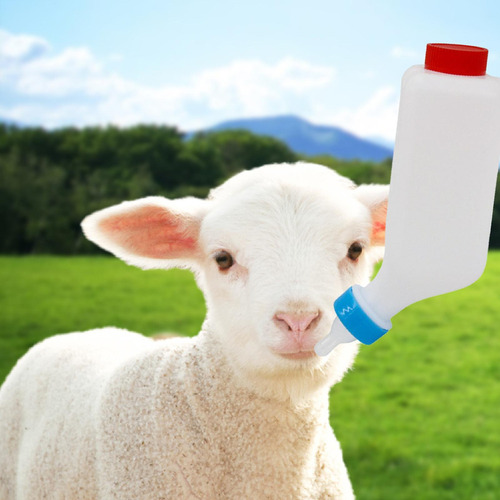Cf Botella De Leche De Cordero Alimentación Con Leche De