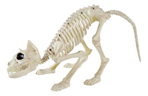 Decoracion Halloween Esqueleto De Gato Del Infierno Felino