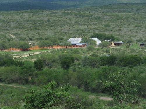 Terreno En Venta En Linares