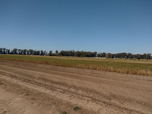 Imagen 10 de 18 de Lote De 1000m2 En Club De Campo Los Tres Pinos - Barrio Isla - General Rodríguez