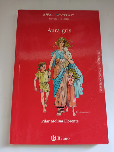 Aura Gris Pilar Molina Llorente Novela Histórica Bruño