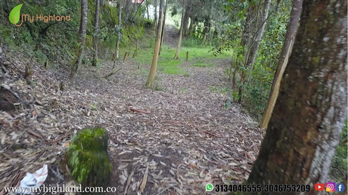 Imagen 5 de 14 de En Venta Lote Guarne Vereda La Brizuela 6.500m²