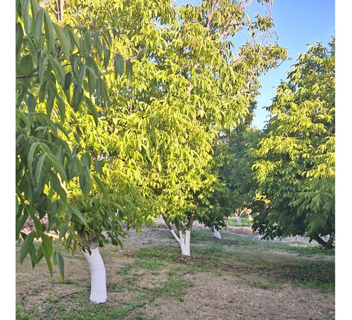 Vendo 2 Casas En Parc En Condominio San Jose Melipilla