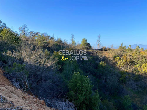 Parcela En Venta En Limache