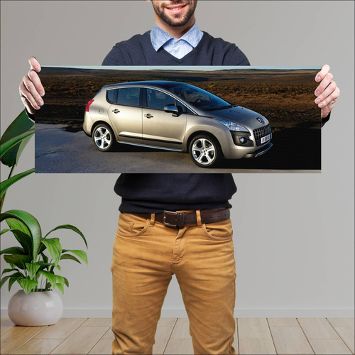 Cuadro 30x80cm Auto 2009 Peugeot 3008 1566 7