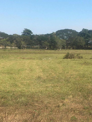 Imagen 13 de 19 de En Venta Finca De 50 Hectáreas, Ubicada En El Estado Ciojede