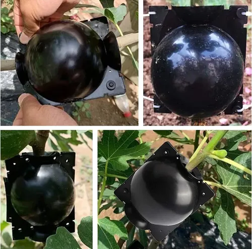 Esqueje Bola Plásticas Propagación X10 Raíz Enraizamiento Ts