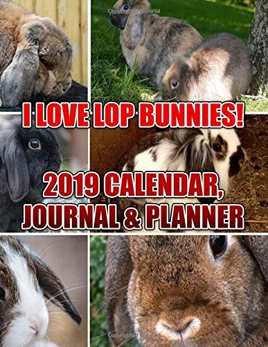 I Love Lop Bunnies! 2019 Calendar, Journal  Y  Planner For T