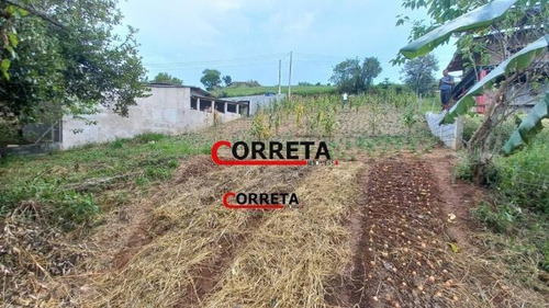 Imagem 6 de 12 de Terreno De 1005 M² + 300 M² Área Verde Com Lago E Nascente Em Ibiúna. - 437