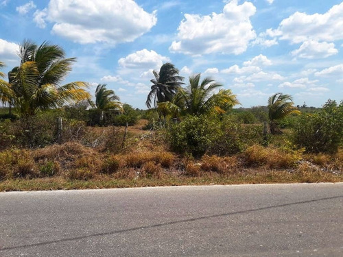 Imagen 7 de 8 de Venta De Terrenos En Celestun