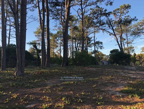 Magnifico Terreno Sobre La Playa De El Pinar