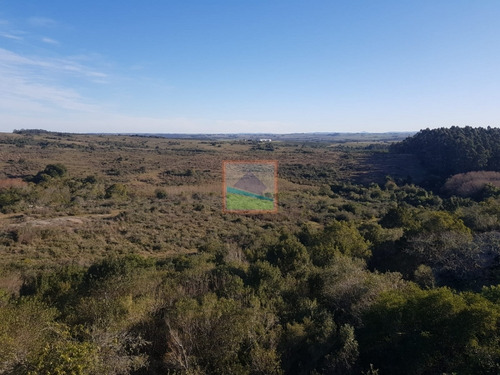 Imagen 7 de 14 de Chacra 10 Hás En Garzón