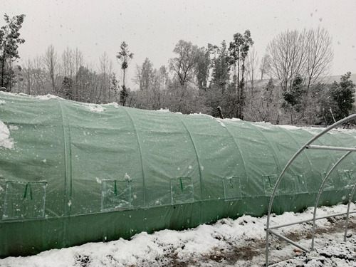 Imagen 6 de 6 de Invernadero Tunel Armable 24m2 8m X 3m X 2m