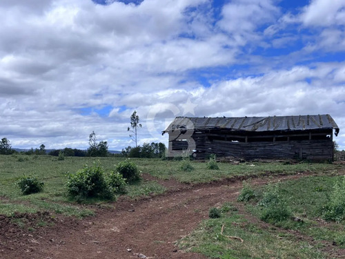Campo De 26ha A Minutos De Fresia Con Casa