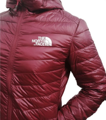 Campera The North Face Hombre Con Capucha