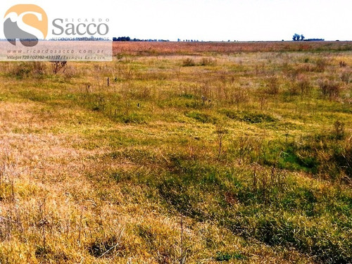 Chacra En Venta En Distrito De #trenquelauquen