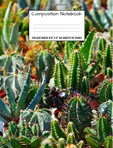 Composition Notebook College Ruled Desert Cactus Cute Compos