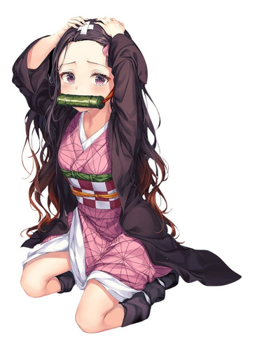 Imagem 3 de 10 de Fantasia Anime Demon Slayer Kimetsu Tanjiro Nezuko Hashiras