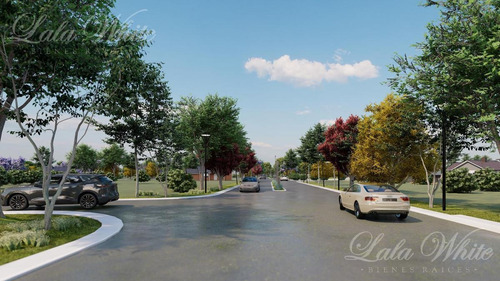 Imagen 3 de 3 de Venta - Lote En Canning Chico
