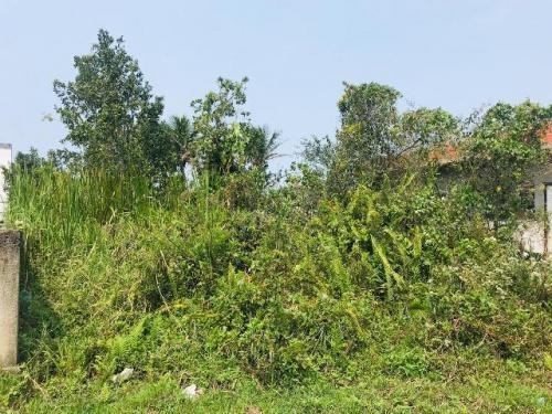 Terreno A 1km Do Mar Em Itanhaém-sp