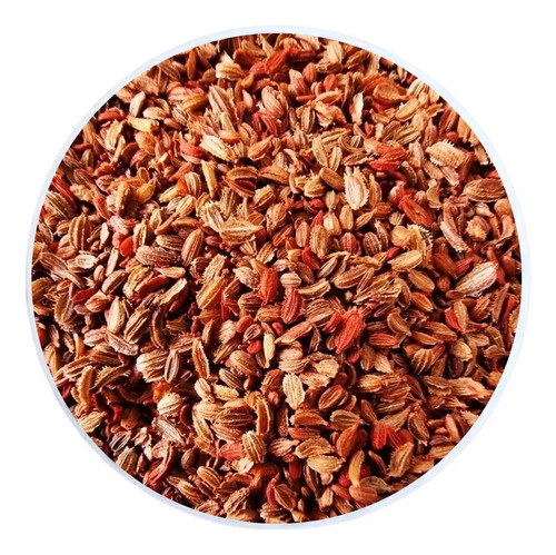 Semilla De Zanahoria Arcoíris (10 Millares)