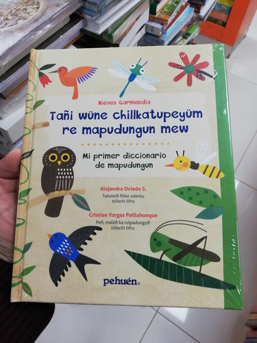 Libro Mi Primer Diccionario De Mapudungun - Nieves Garmendia